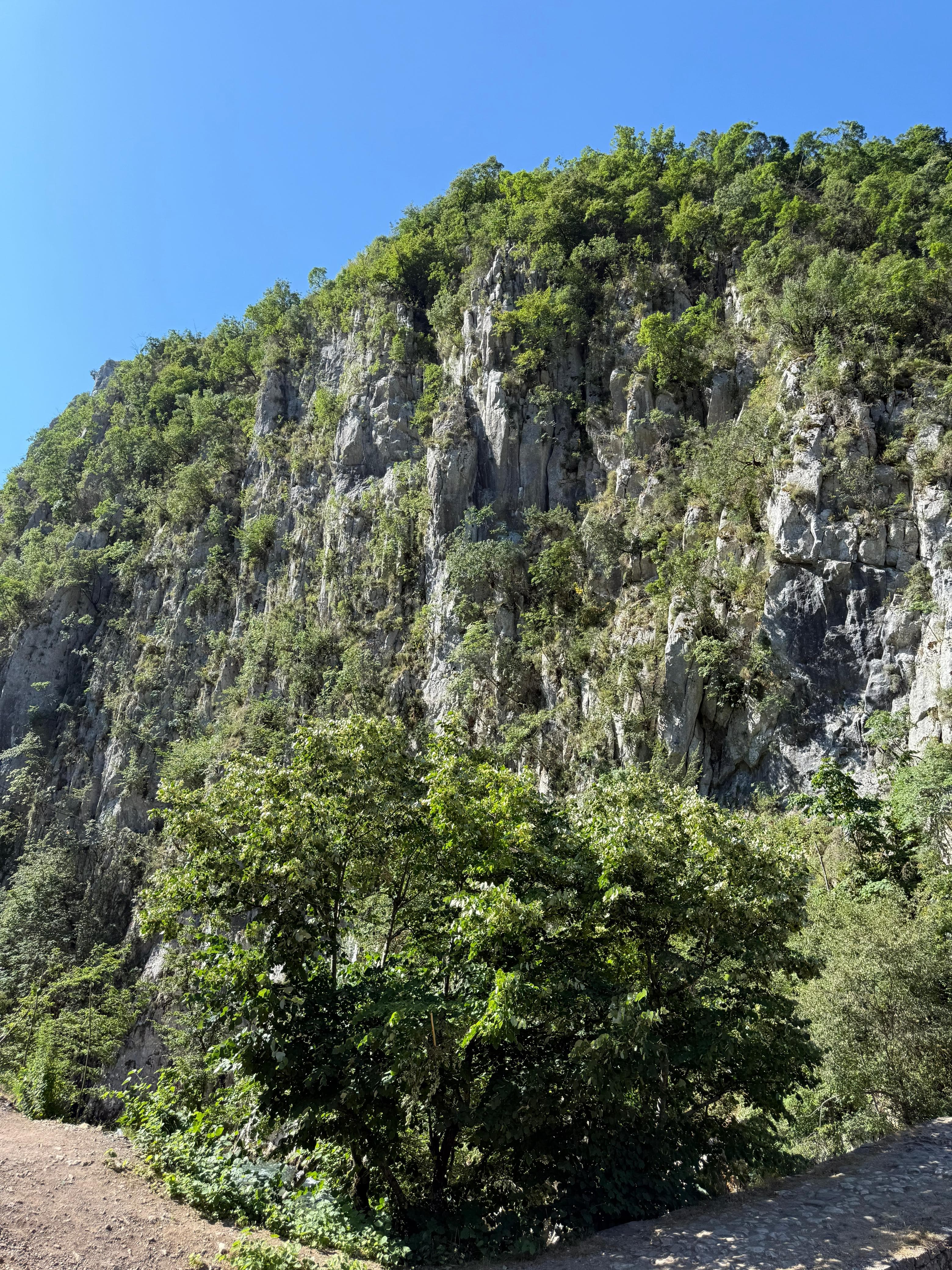 Dramatic limestone canyon wall covered in greenery in an Albanian gorge